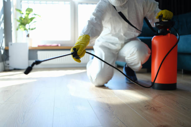 Trusted Sewage Cleanup service in Orange City, IA - Four Month Blood Cleanse